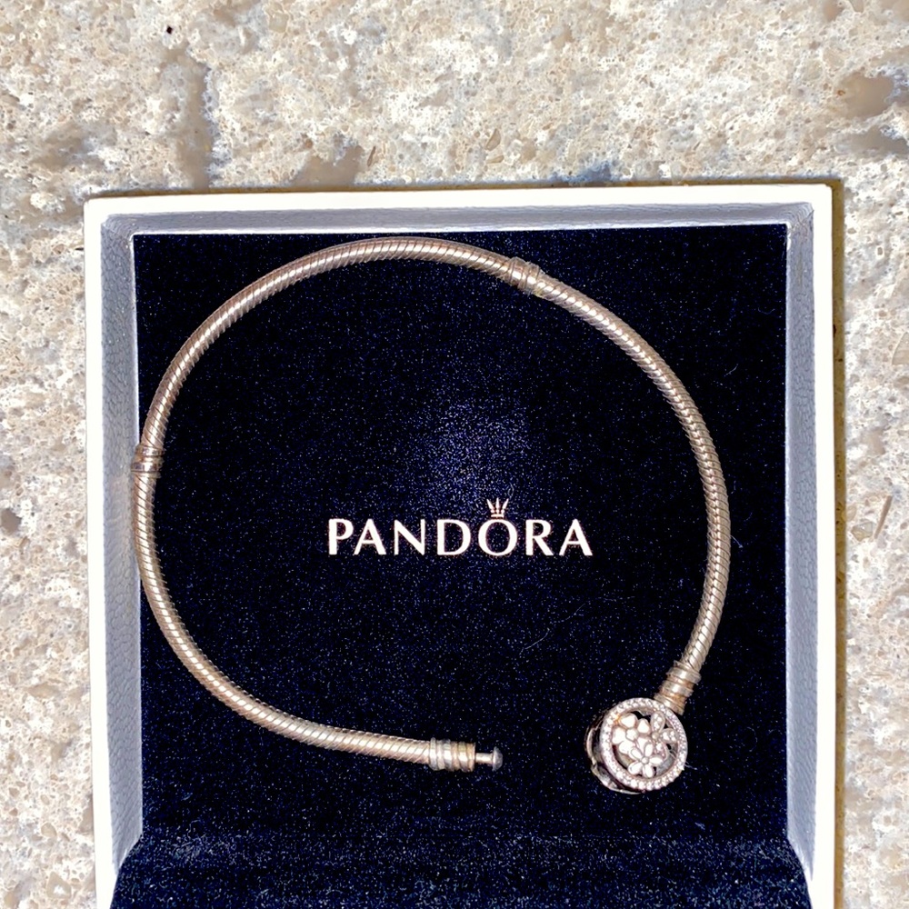 Pandora Charm Snake Bracelet